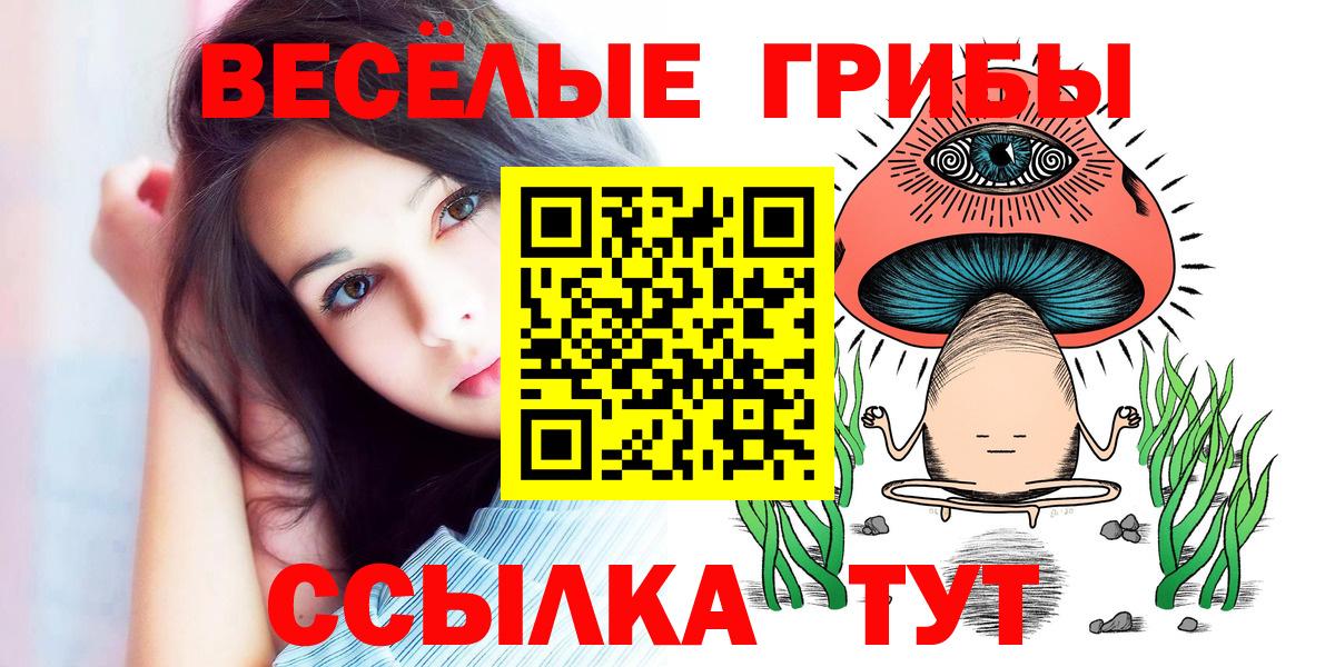 Псилоцибиновые грибы GOLDEN TEACHER Краснодар